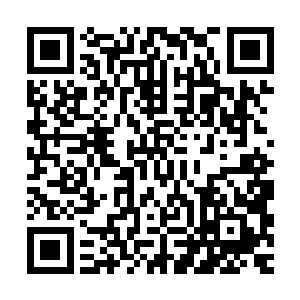你跟我说这么长的一篇是想提醒我你很珍惜你们曾经的美好是吗二维码生成