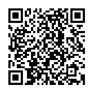 你跟着我也会有一定的危险……我觉得你还是留在这里比较安全二维码生成