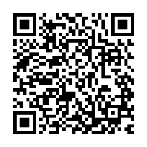 你身上落下的疤痕可能总会提醒你他毫不留情地在落梅居伤你二维码生成