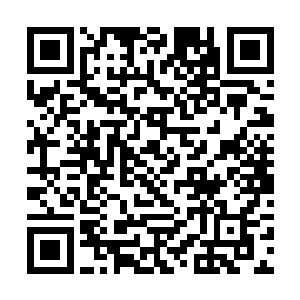 你还是老老实实地交代你的主人江帆藏在什么地方了二维码生成