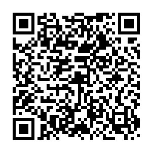 你还有你的徒弟们都没留下对方一片鳞甲呢……现在到人家老巢来二维码生成