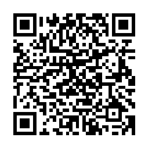 你还没告诉我们你们为什么可以隐藏在这块被毒物侵蚀的地方二维码生成