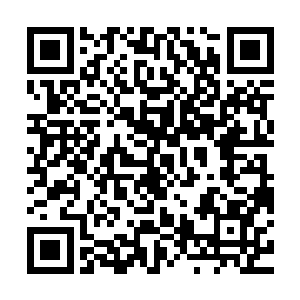 你还真是个修炼狂啊你还让不让小弟活了小弟我也是很下苦功的二维码生成