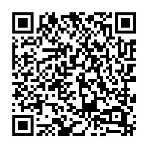 你还龟缩在车里面做什么有他们这么对客人的么你快出来说说你这不孝的侄儿啊二维码生成