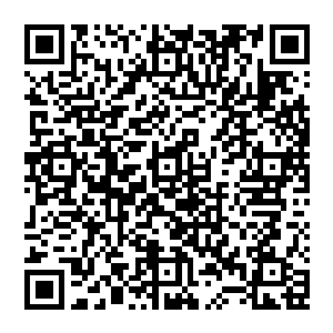 你这个外地人 想和那个野种一起來黑我们林家的财产 今天我一定要让你知道知道 我们林家的厉害  二维码生成