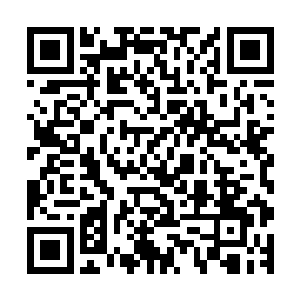 你这个教育督导室的副主任为什么不去我们幼儿园督导督导呢二维码生成