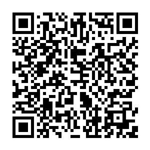你这个老不死的还不是忌惮我杀戮之海距离你那北海的万妖之境太过靠近二维码生成