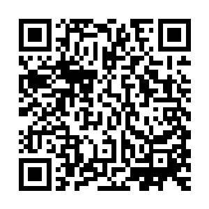 你这么腆着脸凑到我面前一脸求侮辱的表情让人实在是无法拒绝二维码生成