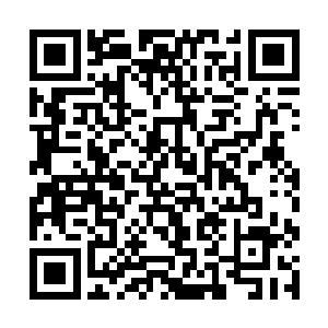 你这是不把你叔叔我的剩余价值压榨完不肯罢休是吧二维码生成