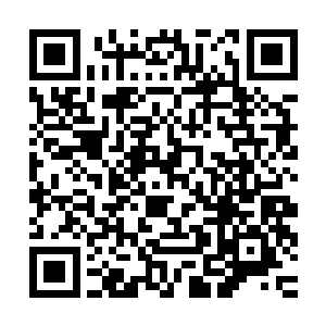 你这是拿金乐福的牌子在压我是吧……既然你也说你们的分店多二维码生成