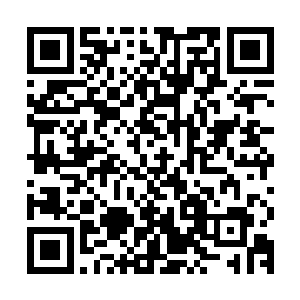 你这样为了一个刚收的徒弟而得罪玄姬大人可不是什么明智之举二维码生成