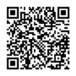 你这点本事全使我身上了……你以为我爱管你家的破事啊二维码生成