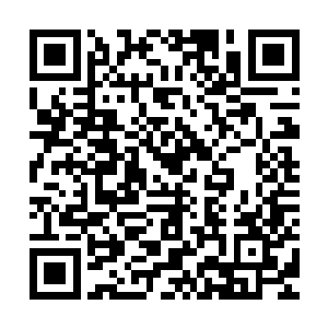 你这陪嫁管事扮成猎户张达的样子在槐树村潜伏那么久又是为何二维码生成