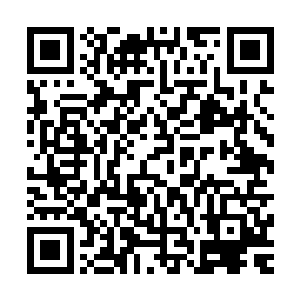 你连我会将这批人收拾得服服贴贴的举动都计算在内了吧……二维码生成