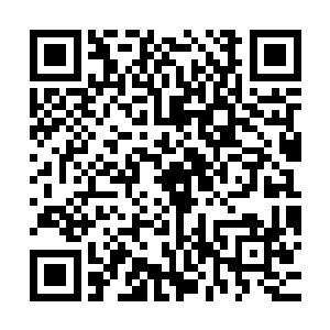 你那个看好的什么小家伙是个什么角色……真的是……哼哼……二维码生成