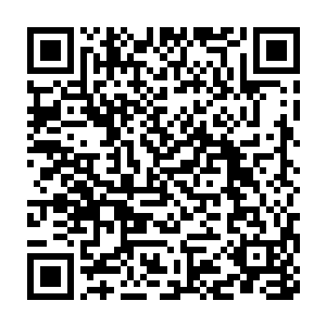 你都是社会上最顶级的存在――别相信世界上没有等级层次这种鬼话二维码生成