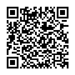 你难道不知道本来这次丁志江对在大会上发表论文是势在必得的二维码生成