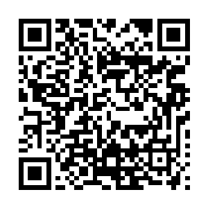 你难道就没有怀疑过我从到达为什么会跟普通的人不一样吗二维码生成