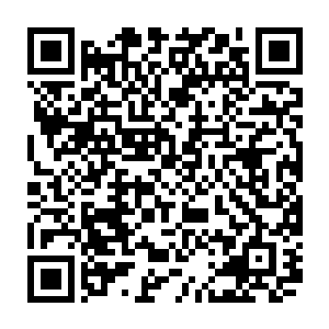 你风婶儿说他今天下午的时候就看到了你三爷爷一直在我们家坟地里转悠二维码生成