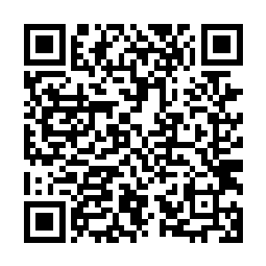 你饰演的这个角色本身就具备极大的人气和极其广泛的支持率二维码生成