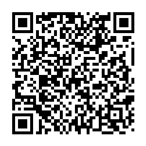 佣兵之城的结界之灵在一些隐士世家的眼中早已经不是秘密的秘密了二维码生成