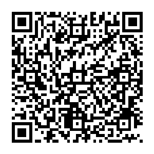 佣兵之城的这一趟旅行 让赵纯良好像去了另外一个世界一样 而现在 赵纯良回來了二维码生成