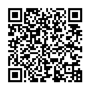 使其周围的近卫军战士和异能者战士连动手的机会都没有了二维码生成