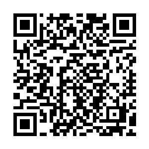 使得乾坤两道枷锁在微微挣扎了一秒后彻底消失在了丹田的周围二维码生成