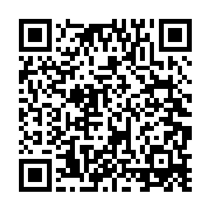 使得十二大势力都愿意出动如此数量的半皇前去镇压他二维码生成