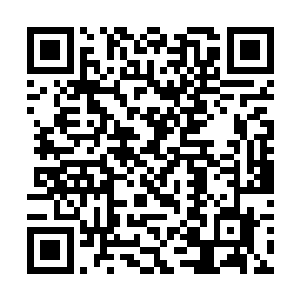 使得对方无法捕捉到自己的身影无法做出正确的攻击二维码生成