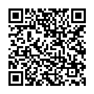 使得很多命陨武者感觉头上仿佛时刻悬了一把寒光森森的命刀二维码生成