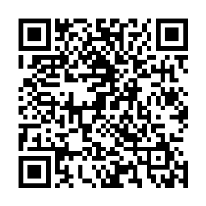 使得杨戬等人对他们之前所在的门派也有了一些不小的了解二维码生成