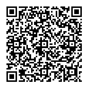 使得通讯电子产业园第一期规划在风云通讯的第一台手机尚未正式亮相出厂时就呈现出饱和状态二维码生成