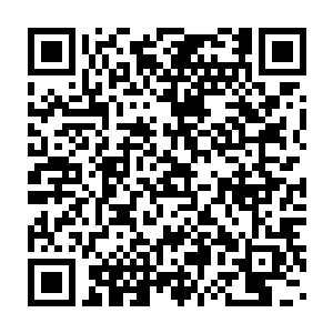 使用如此诡异的手段在如此短的时间内布置出这么一个恐怖的阵法二维码生成