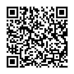 使用特殊仪器抽取丧尸和变异兽晶核中的能量制造而成二维码生成