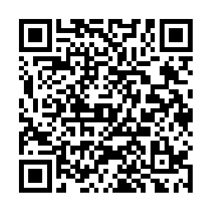 使用者可根据自己的意志对此次攻击中所蕴含的推进力二维码生成