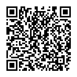 使者也只能下令强行分离两大家族的人马了……甚至不惜动用武力了二维码生成