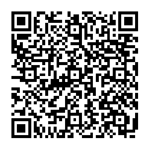 使这些随山派的长老弟子都有种想找条裂缝钻进去的冲动……而作为此次行动的负责人二维码生成