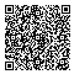 例如曾经苏林拥那尊大武师傀儡就如此因为那时候苏林境界很低那大武师傀儡实力也不怎么样所以小误差也就可以忽略了二维码生成