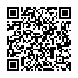 依旧像是有一万座动力符阵在他的右腿后面爆发出最璀璨的光焰二维码生成