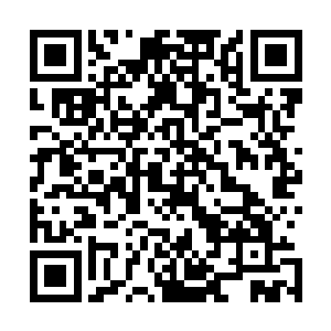 依旧无法从现实生活的泥潭中脱离出来――当你辛苦了一天二维码生成