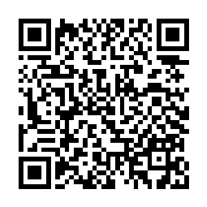 依旧有无数双地底原人的眼睛一眨不眨地瞪着他二维码生成
