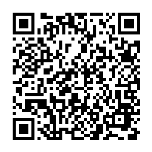 依稀还可以看到几丝白色的布条和地上散落的一些骨头的碎渣与新鲜的血迹二维码生成