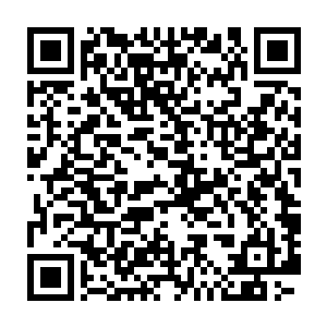 便从储物袋中取出了一粒蕴灵丹握在手中放在那个少年的眼前展开二维码生成