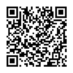 便以这一缕神识之力激活了隐藏在玉简内的一个微型阵法二维码生成
