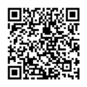 便仿佛置身于梦幻之中的钱小杰和钱小枫两人终于回过了神来二维码生成