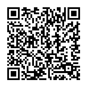 便会绝对此刻的整俩红旗轿车如同火箭一般不停的在这高速公路上穿梭着二维码生成