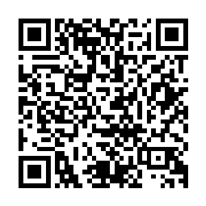 便会邀约几个合作伙伴家族一起前来考察昌江和宋州的投资环境二维码生成