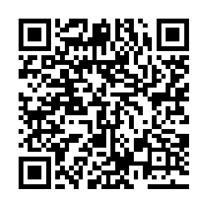 便凝结了一个完全由生命之气汇聚的气泡将三个人笼罩在里面二维码生成