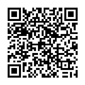 便又加了五百斤的力量狠狠地劈向门卡乌拉的骨架身体二维码生成